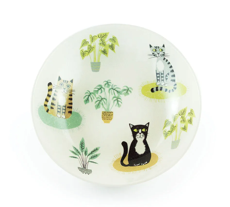 Handmade Ceramic Cat Pasta Bowl x 4