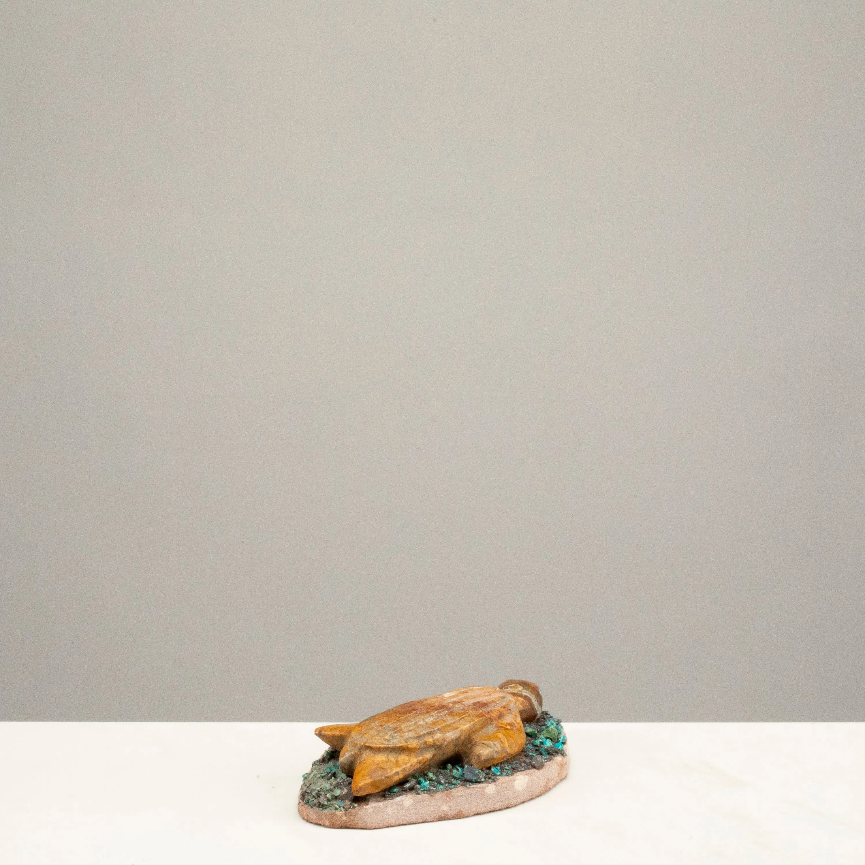 Justin Natewa Turtle with Turquoise Handmade Zuni Fetish Carving